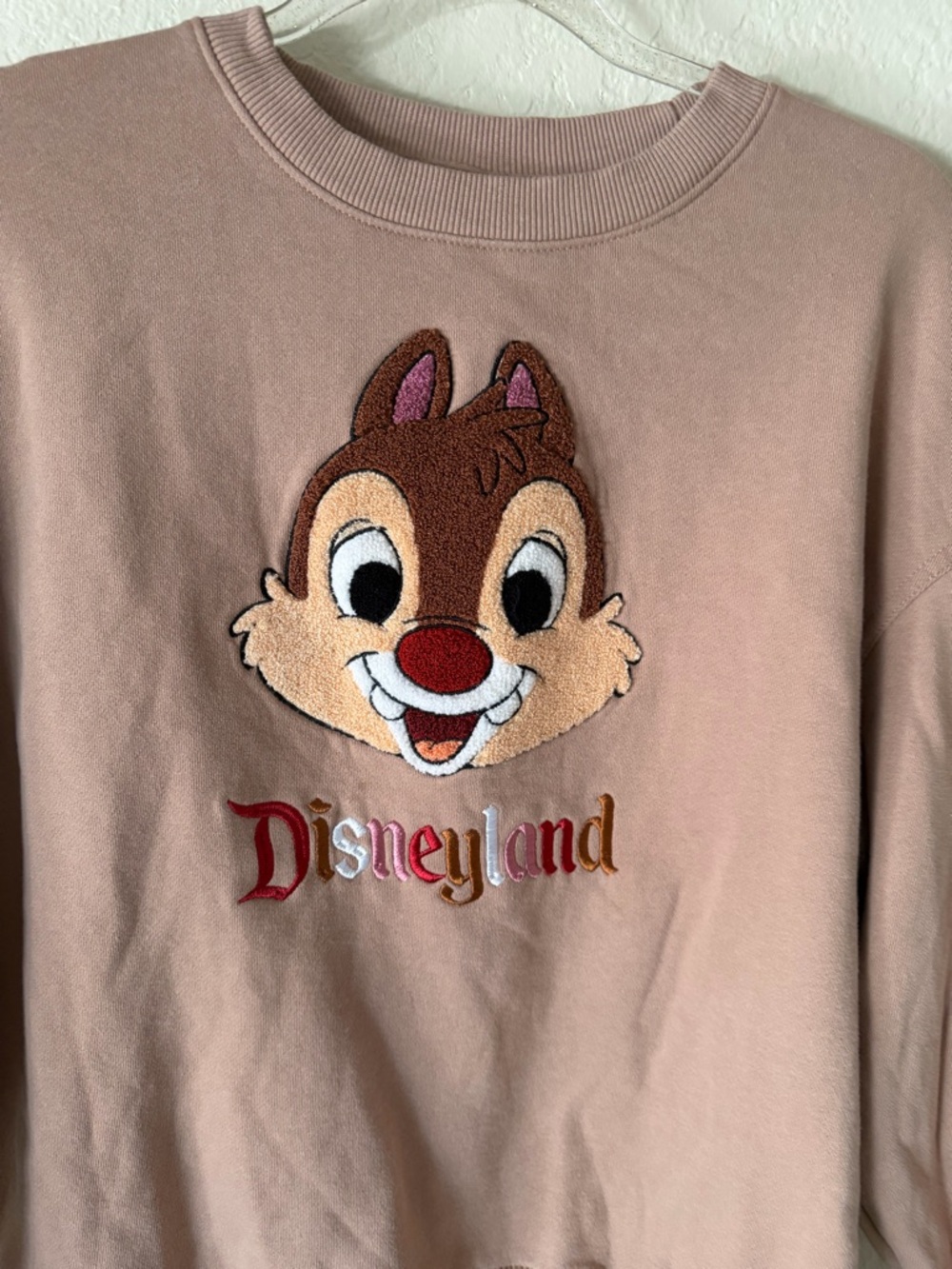 Disneyland Chip ‘n Dale Embroidered Oversized Sweatshirt size XS - Picture 7 of 12